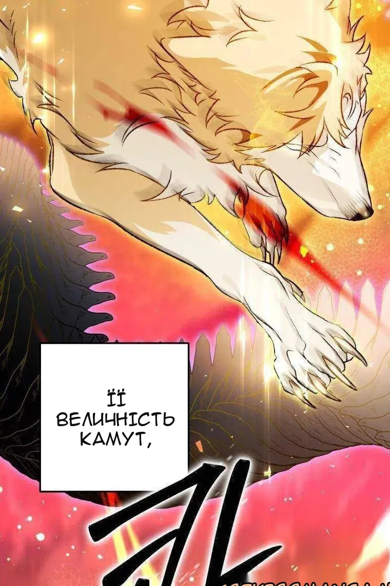 Сторінка 70