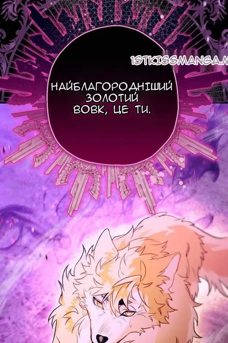Сторінка 101