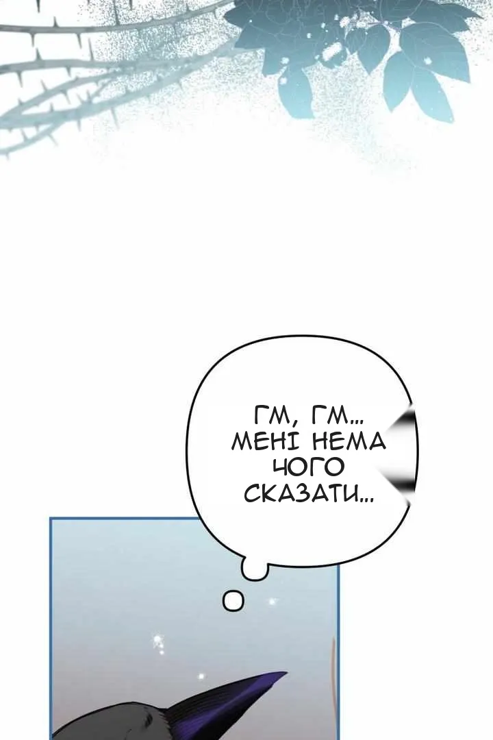 Сторінка 14