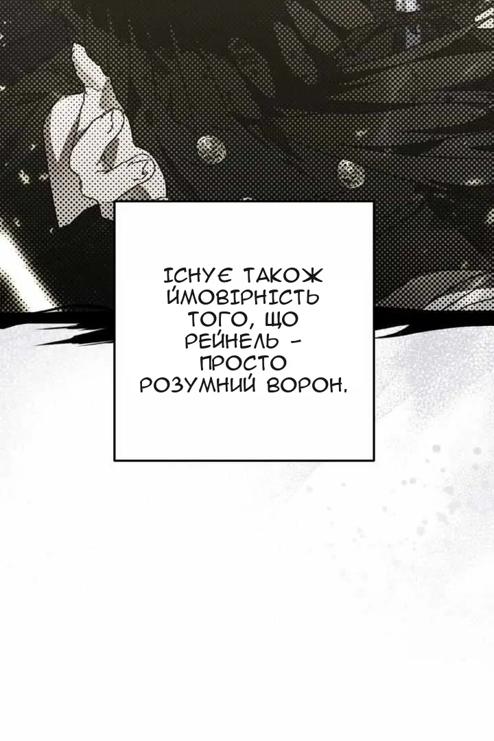 Сторінка 29