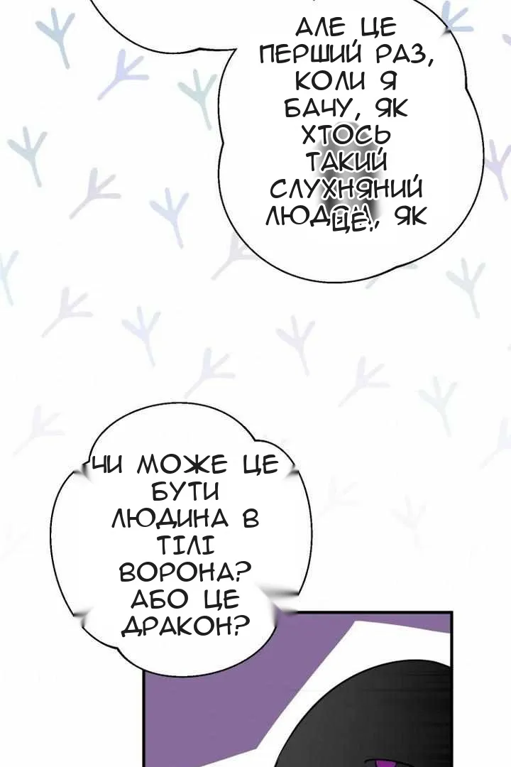 Сторінка 102