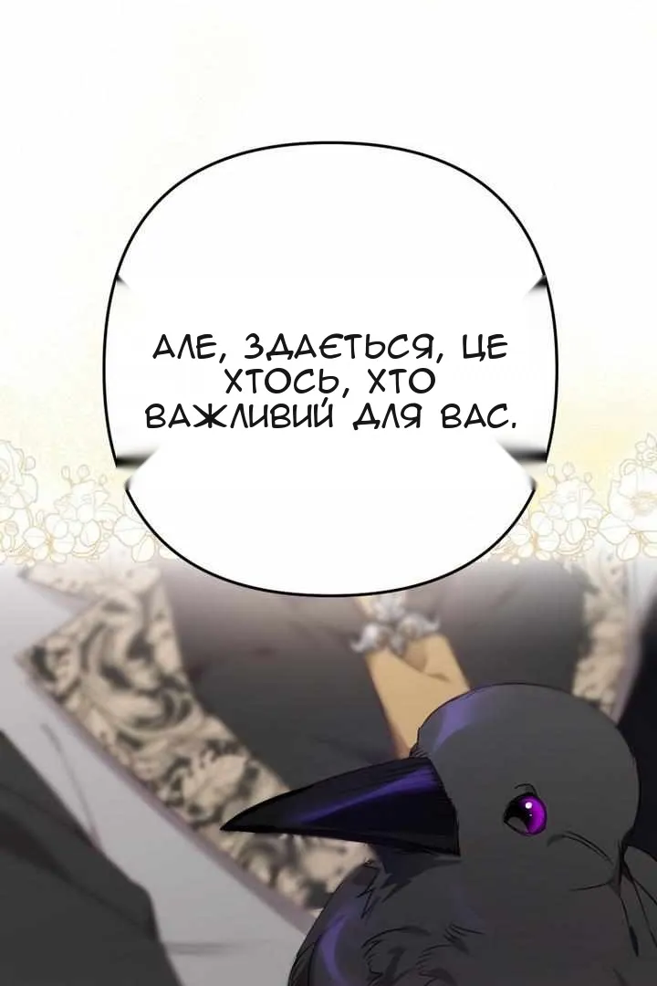 Сторінка 111