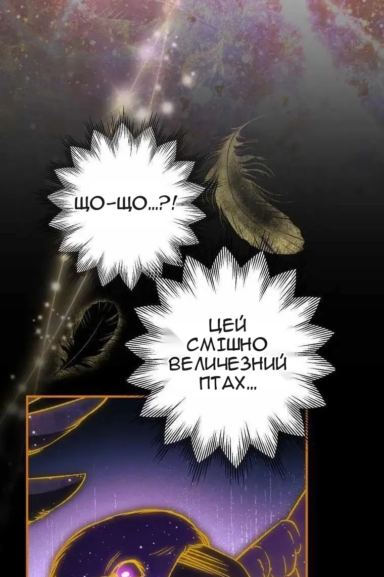 Сторінка 8