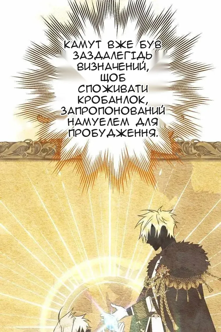 Сторінка 109