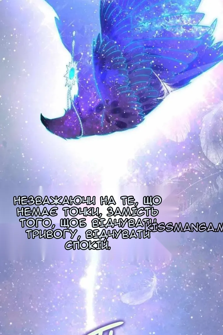 Сторінка 7