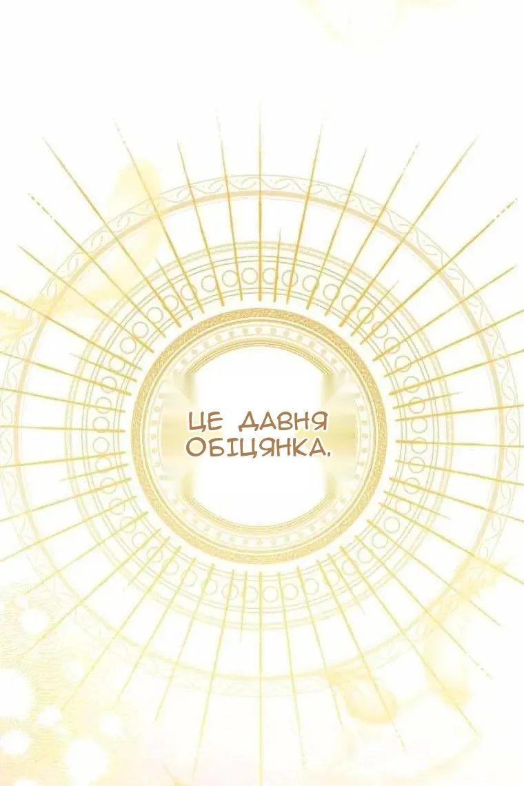 Сторінка 43