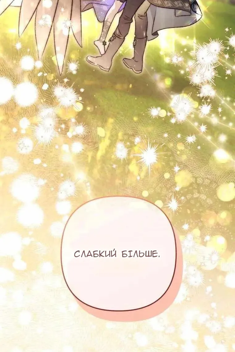 Сторінка 41