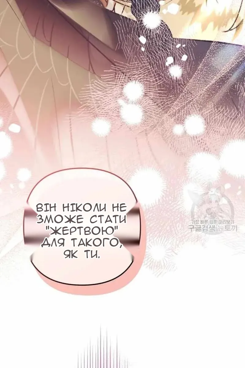 Сторінка 41