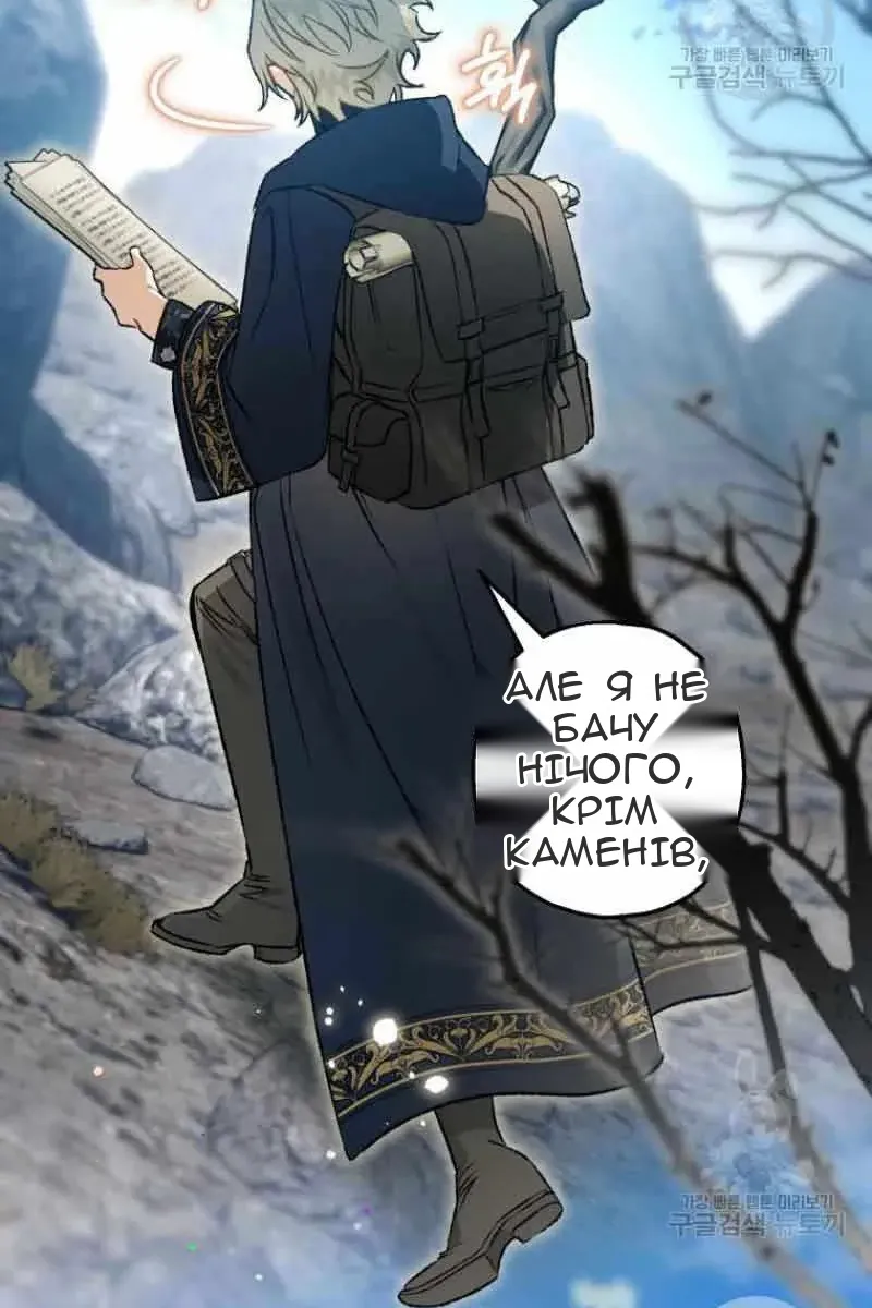 Сторінка 17