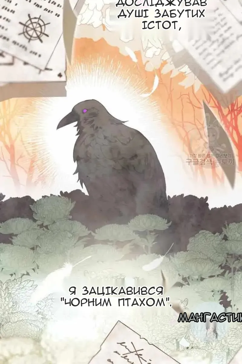 Сторінка 21
