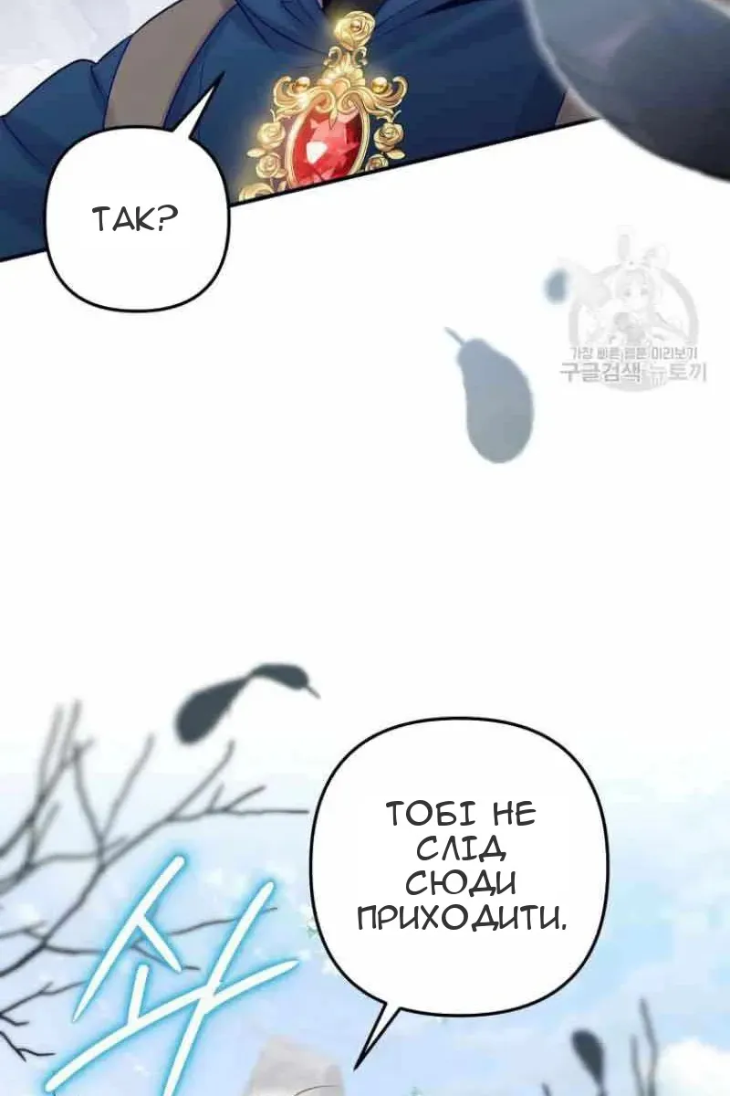 Сторінка 29