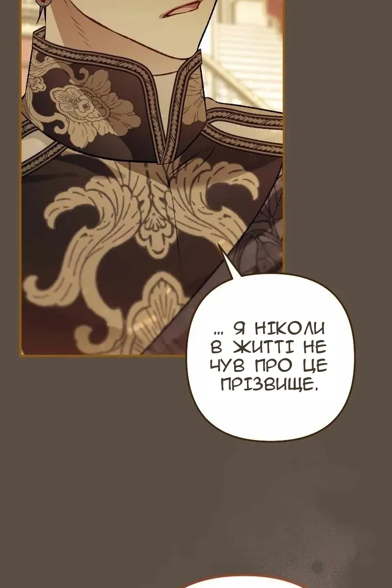 Сторінка 41