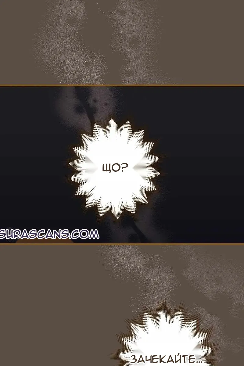 Сторінка 78