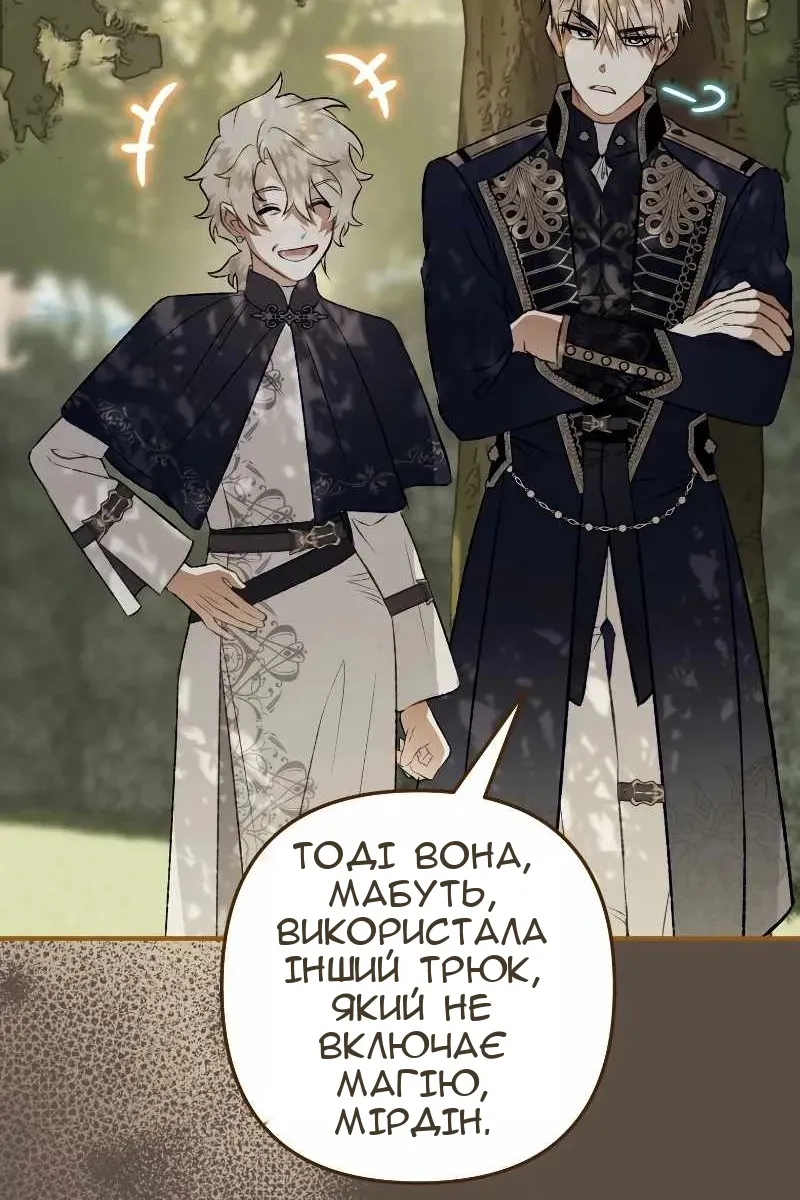 Сторінка 113