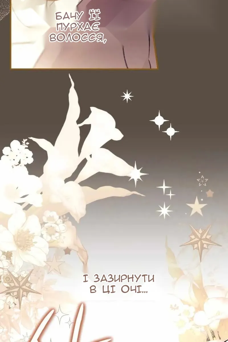 Сторінка 31
