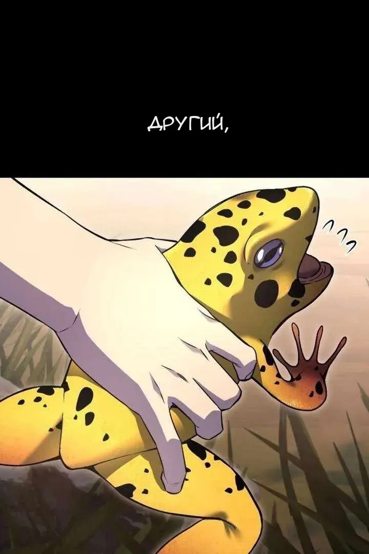 Сторінка 8