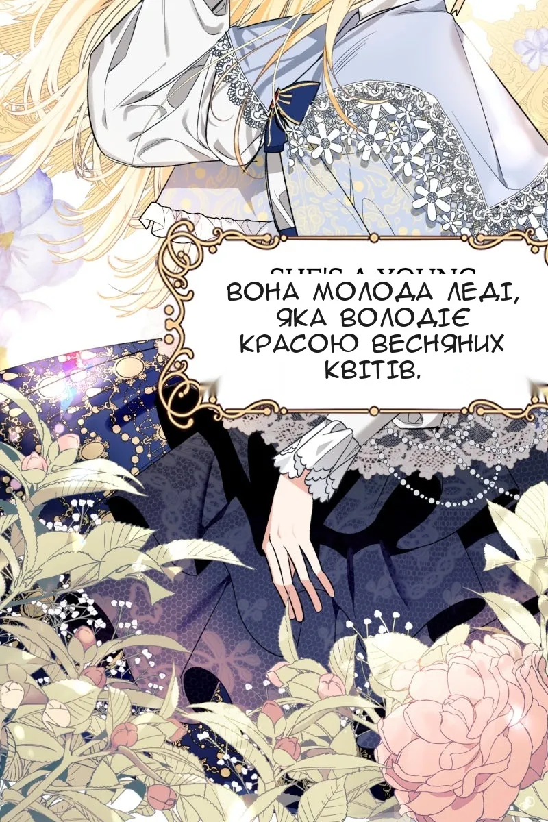 Сторінка 39