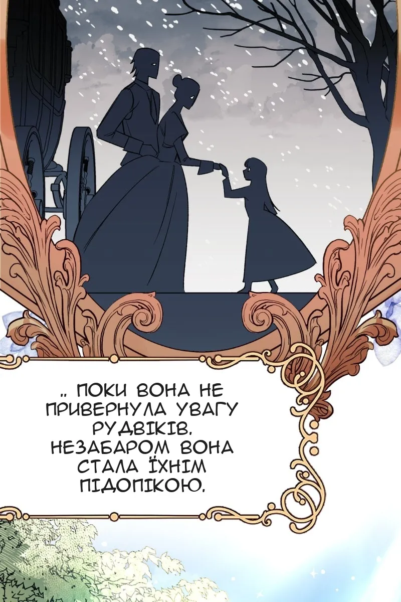 Сторінка 41