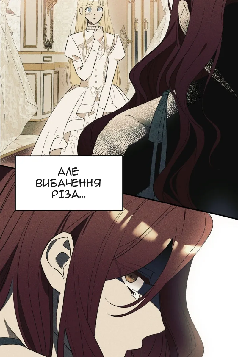 Сторінка 6