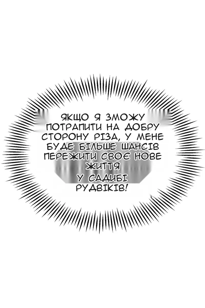 Сторінка 25