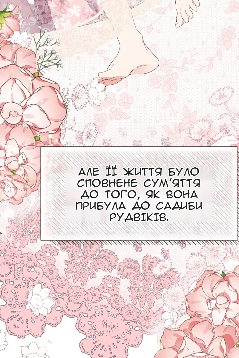 Сторінка 64