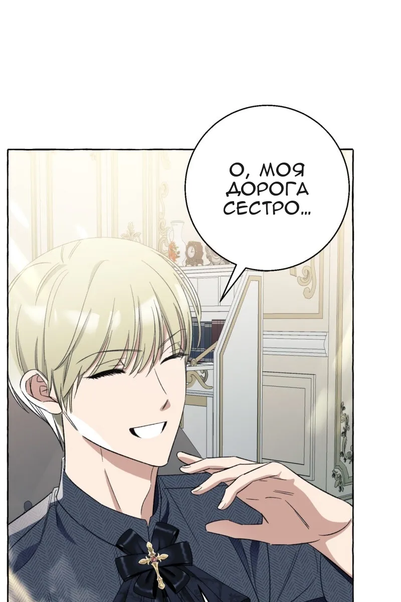 Сторінка 17