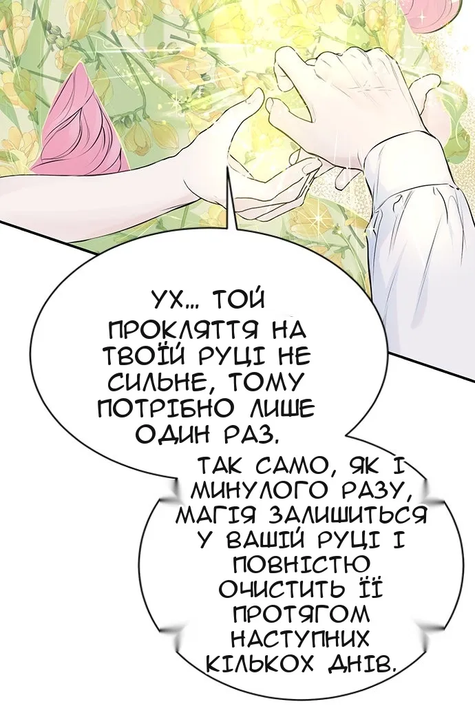 Сторінка 29