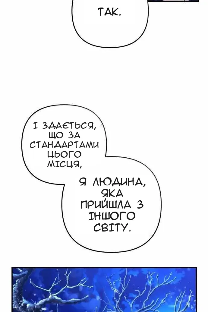 Сторінка 81