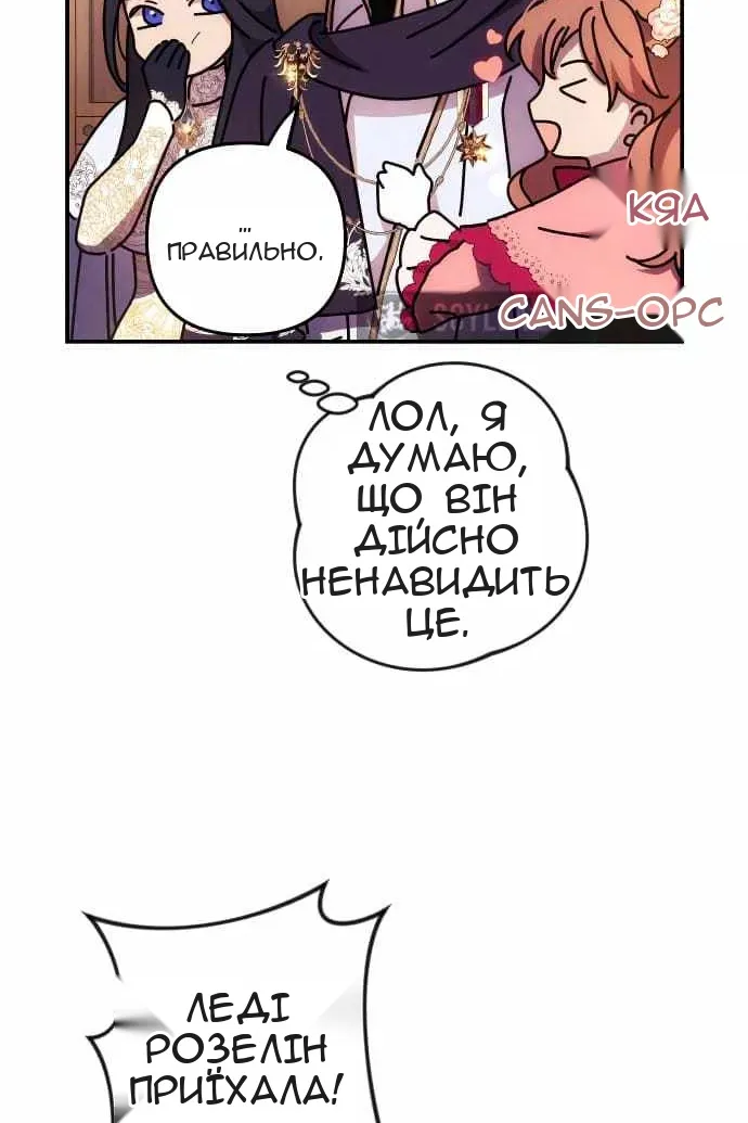 Сторінка 29