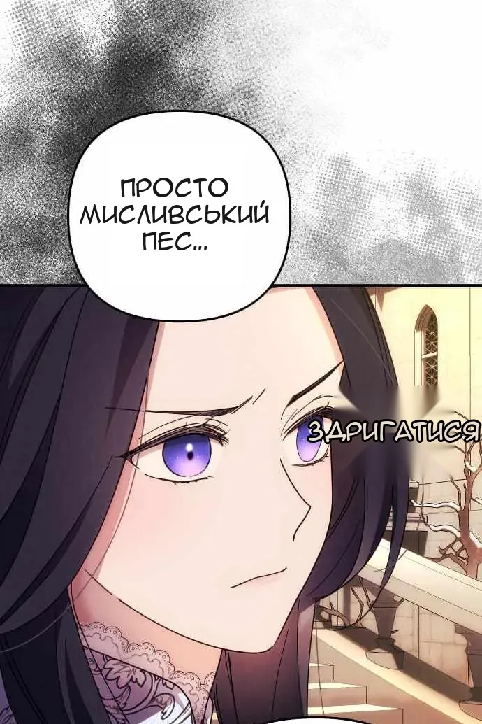 Сторінка 61