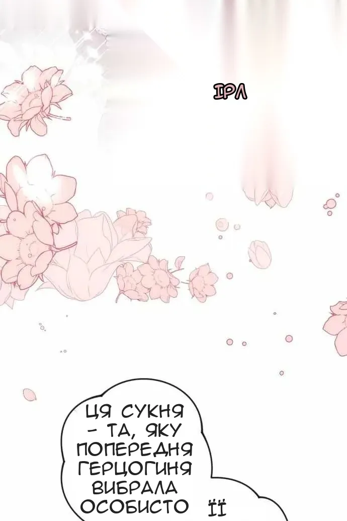 Сторінка 17