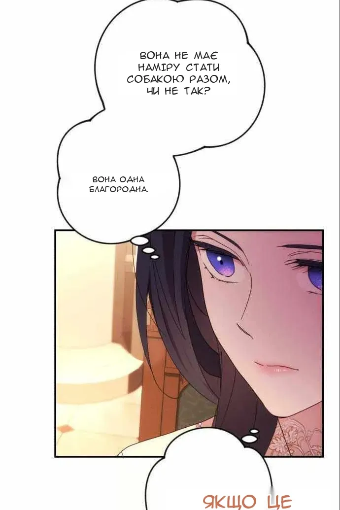 Сторінка 16