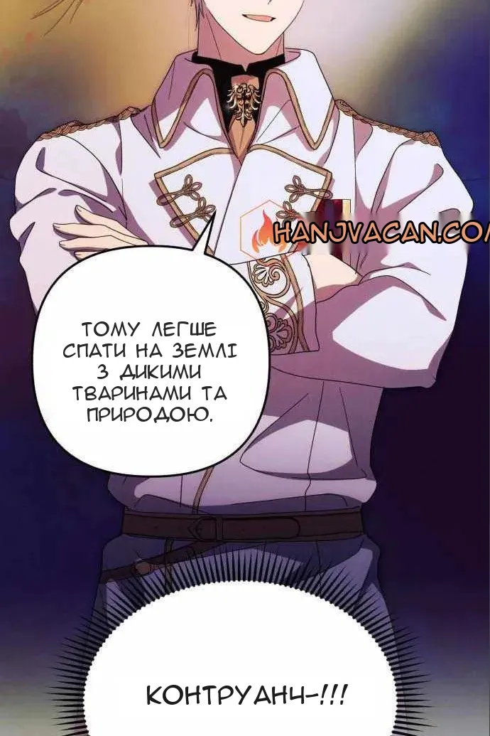 Сторінка 26