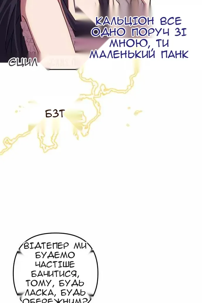 Сторінка 17