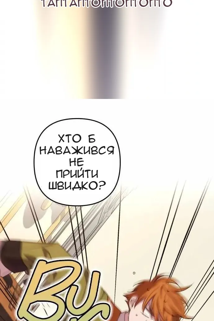 Сторінка 41
