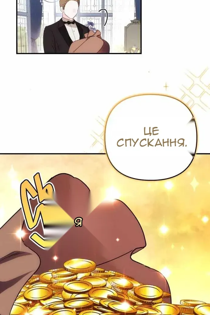 Сторінка 17
