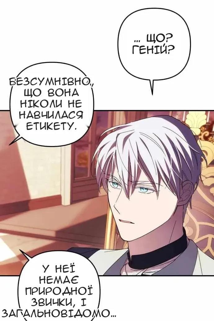 Сторінка 29