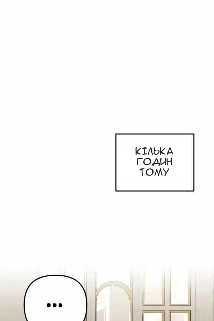 Сторінка 31