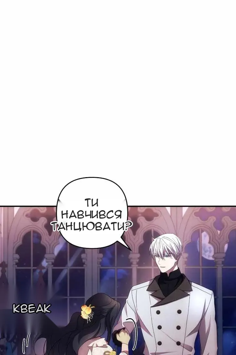 Сторінка 27