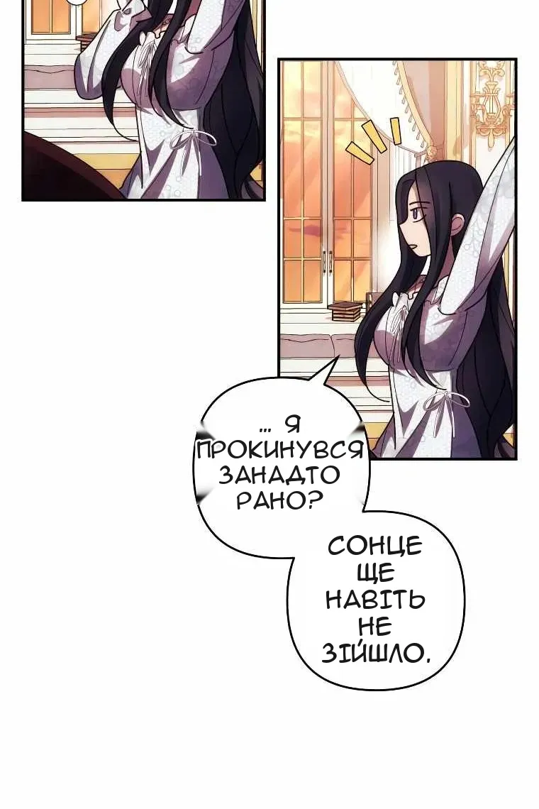 Сторінка 29