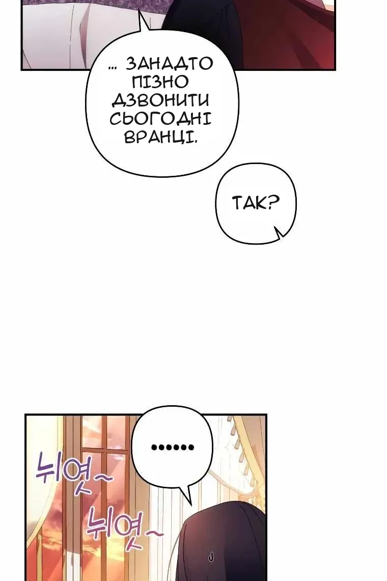 Сторінка 31