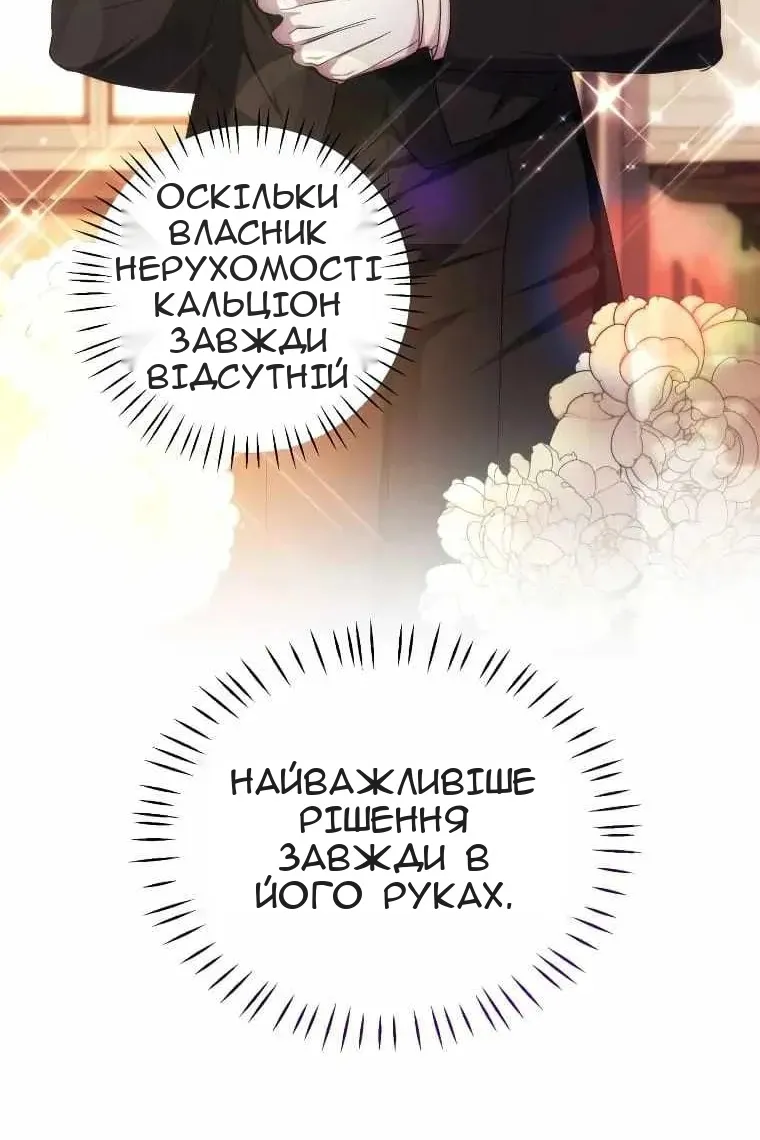 Сторінка 28