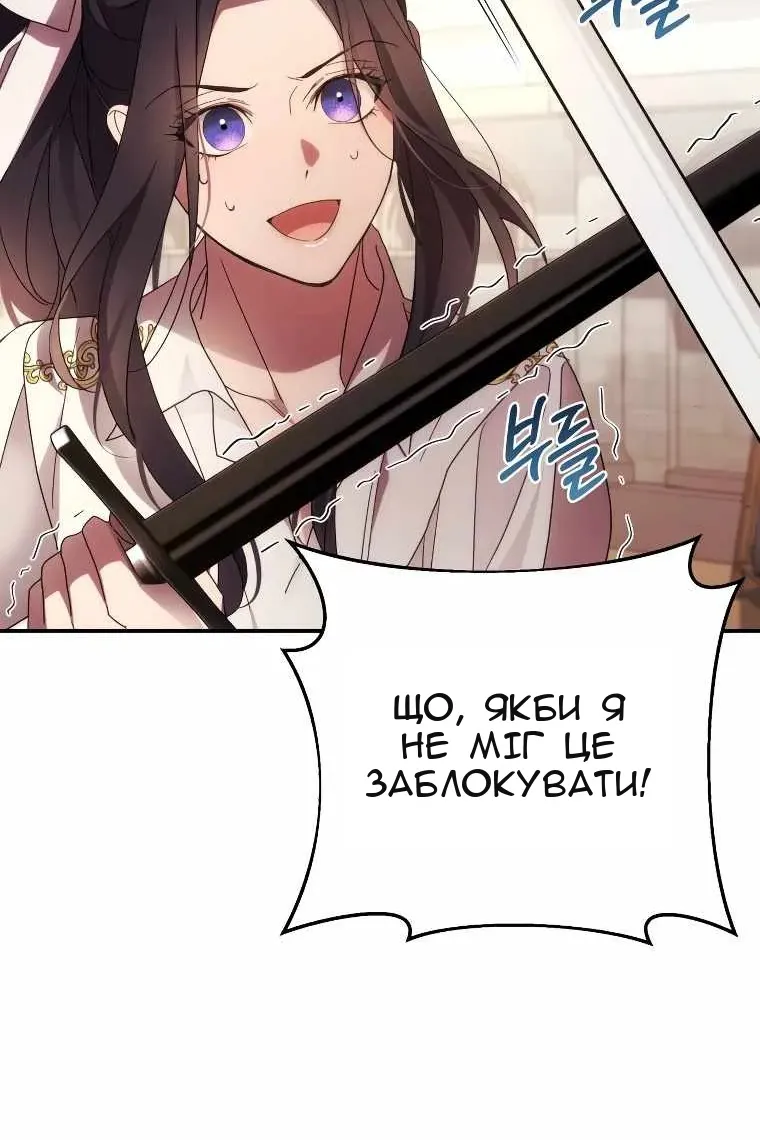 Сторінка 17