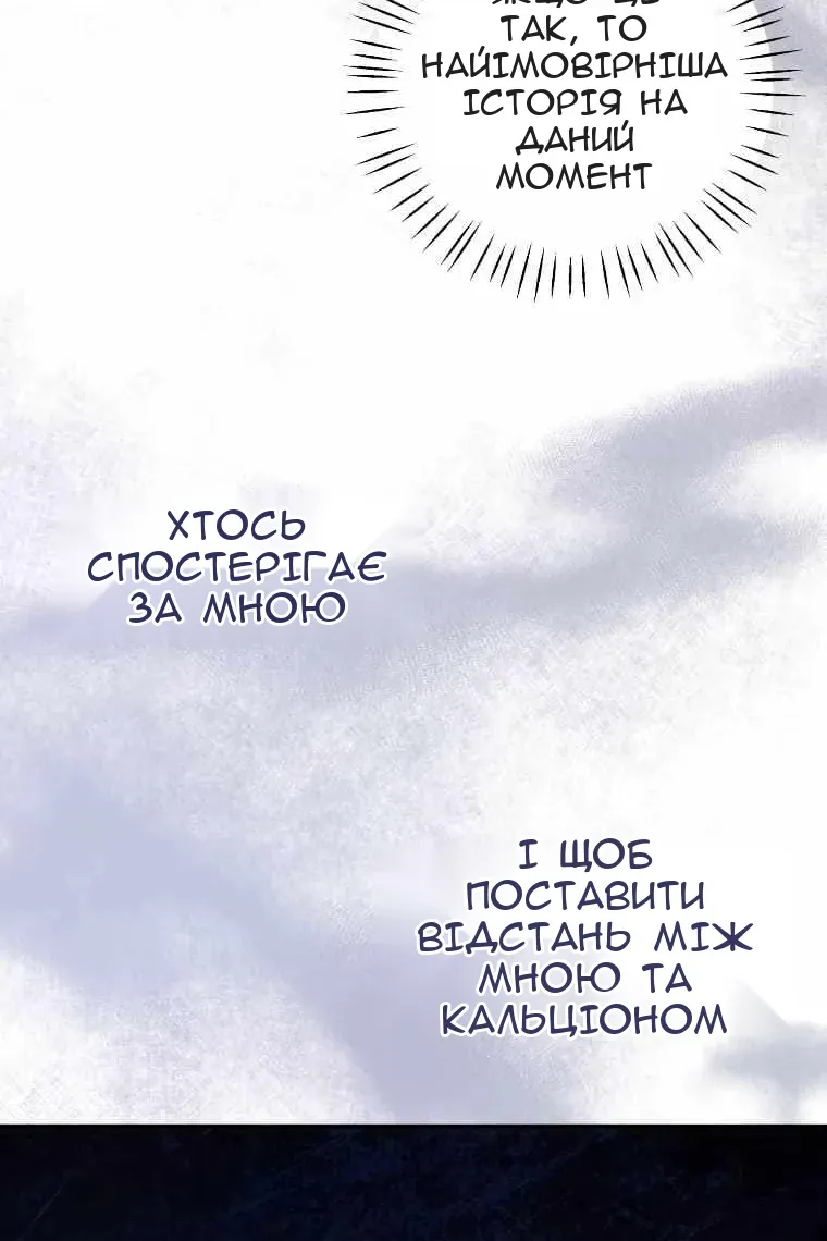 Сторінка 29