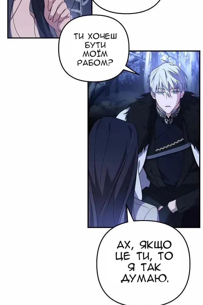 Сторінка 47