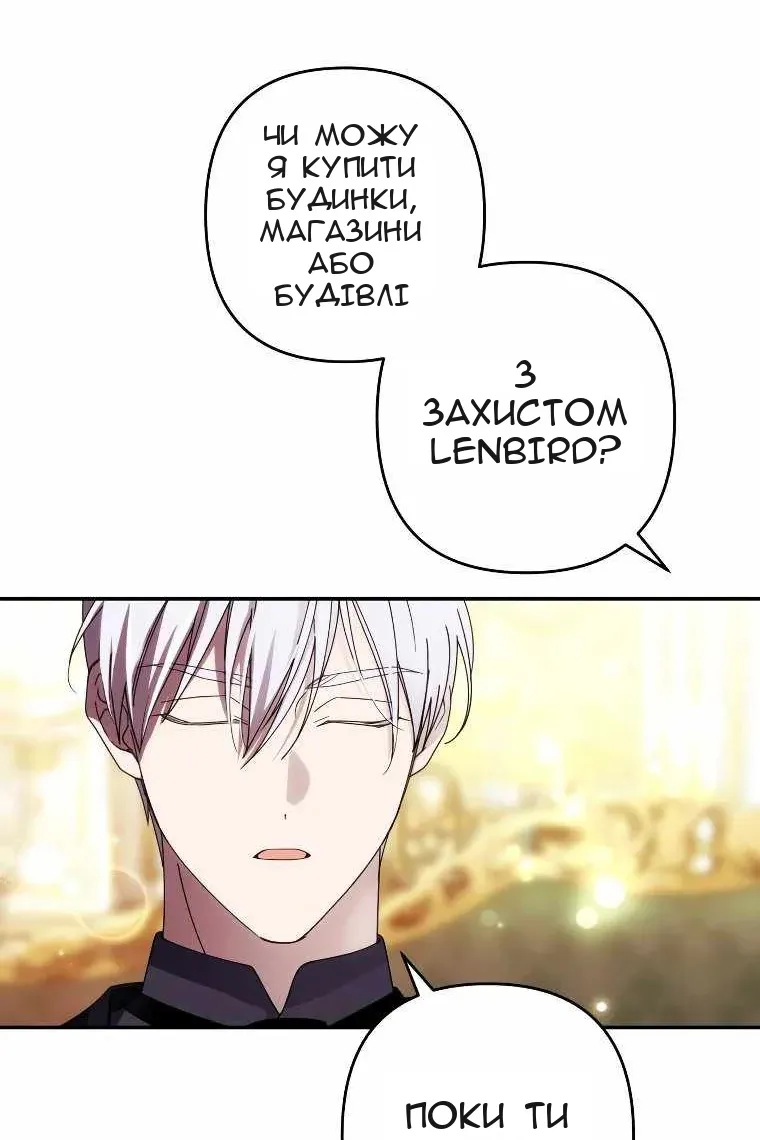 Сторінка 17