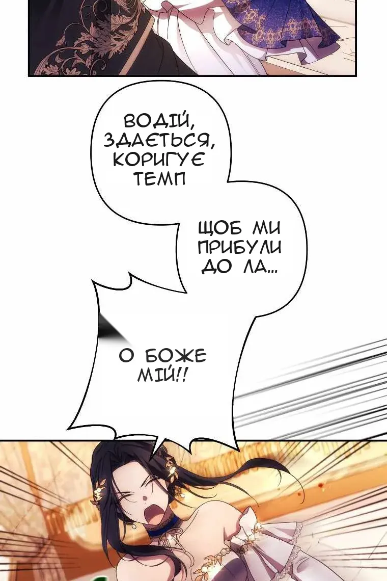 Сторінка 42
