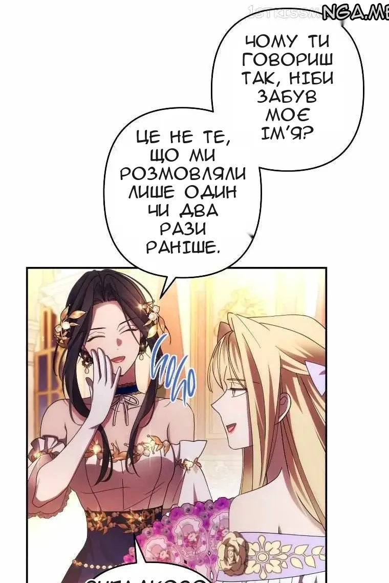 Сторінка 29
