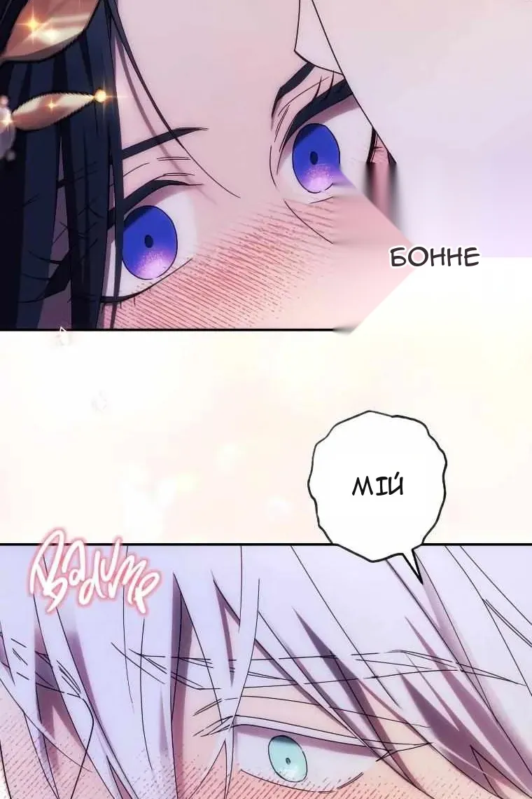 Сторінка 11
