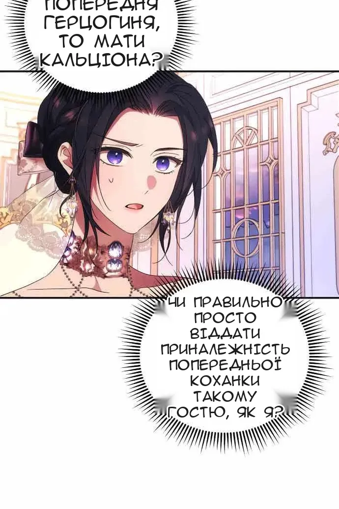 Сторінка 27